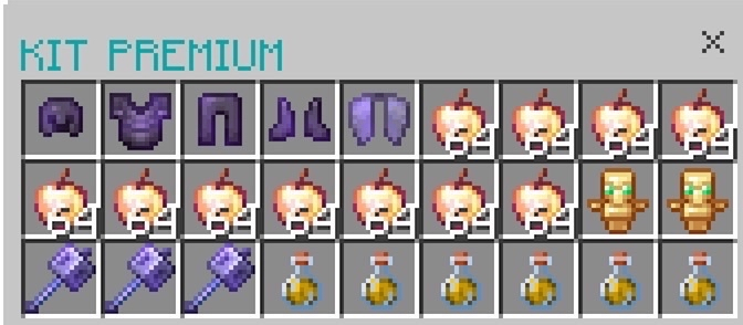 KIT PREMIUM = 2 shulkers
